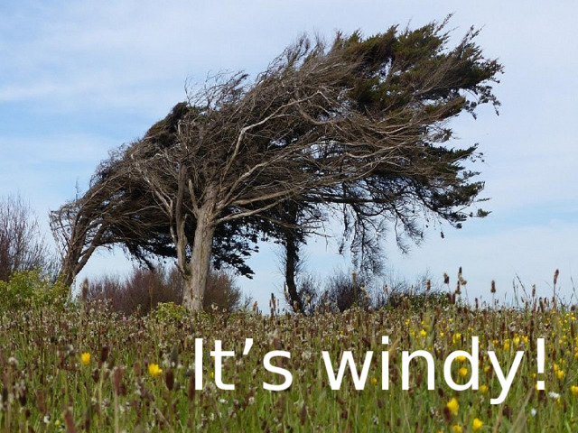 It’s windy! 