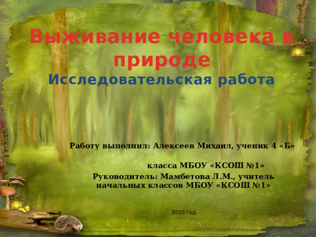 Выживание человека в природе Исследовательская работа Работу выполнил: Алексеев Михаил, ученик 4 «Б»  класса МБОУ «КСОШ №1» Руководитель: Мамбетова Л.М., учитель начальных классов МБОУ «КСОШ №1»  2020 год 