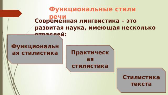 Функциональные стили речи Современная лингвистика – это развитая наука, имеющая несколько отраслей: Функциональная стилистика Практическая стилистика Стилистика текста 