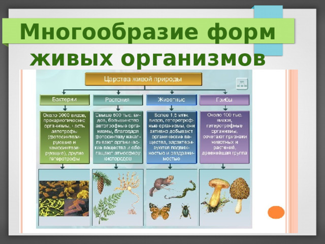 Многообразие организмов. Живые организмы. Язык живой организм. Многообразие форм живых организмов 9 класс конспект.