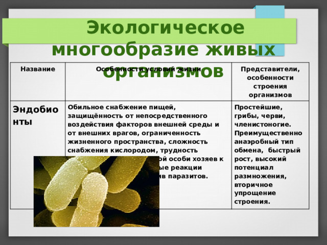 Наука о внешнем строении организмов называется