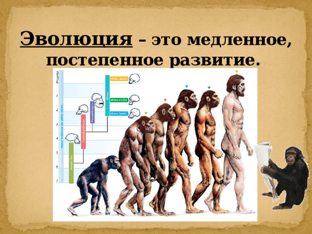 Эволюция – это медленное, постепенное развитие. 