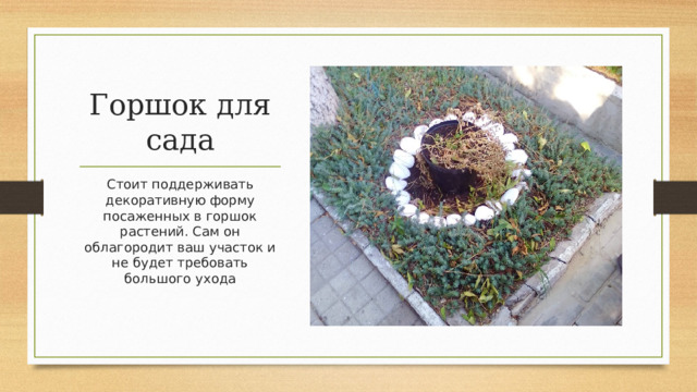 Горшок для сада Стоит поддерживать декоративную форму посаженных в горшок растений. Сам он облагородит ваш участок и не будет требовать большого ухода 