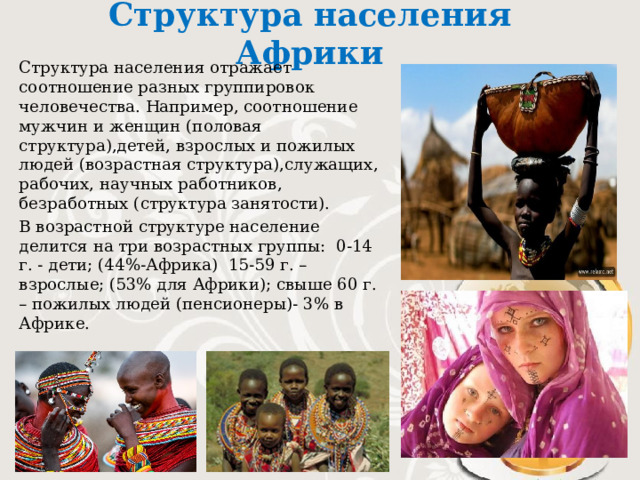 Структура населения презентация