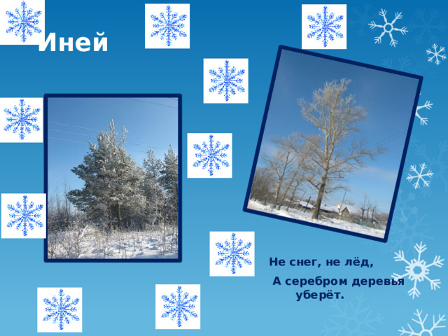 Иней Не снег, не лёд,  А серебром деревья уберёт. 