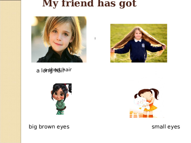 My friend has got ______  a long hair l a short hair  big brown eyes  small eyes 