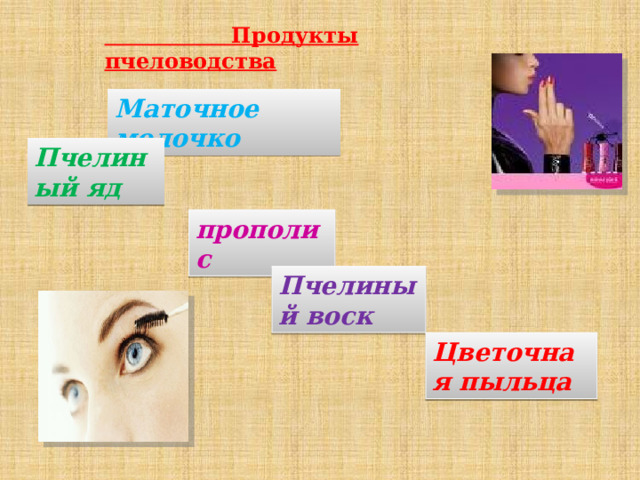 Пчелиный яд Пчелиный воск Цветочная пыльца  Продукты пчеловодства Маточное молочко прополис 