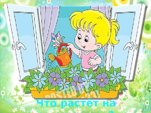 Что растёт на подоконнике? 
