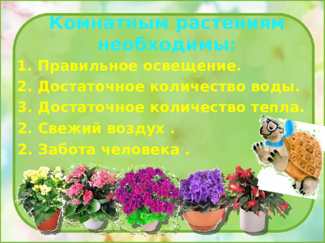 Комнатным растениям необходимы: 1. Правильное освещение. 2. Достаточное количество воды. 3. Достаточное количество тепла. 2. Свежий воздух . 2. Забота человека . 
