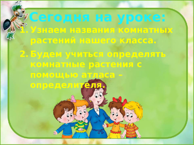 Сегодня на уроке: Узнаем названия комнатных растений нашего класса. Будем учиться определять комнатные растения с помощью атласа – определителя. 