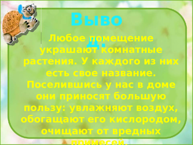 Вывод: Любое помещение украшают комнатные растения. У каждого из них есть свое название. Поселившись у нас в доме они приносят большую пользу: увлажняют воздух, обогащают его кислородом, очищают от вредных примесей. 