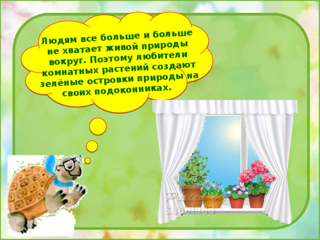 Людям все больше и больше не хватает живой природы вокруг. Поэтому любители комнатных растений создают зелёные островки природы на своих подоконниках. 