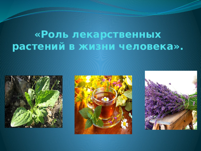 «Роль лекарственных растений в жизни человека». 