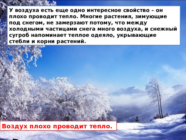 Почему растения не вымерзают зимой под снегом