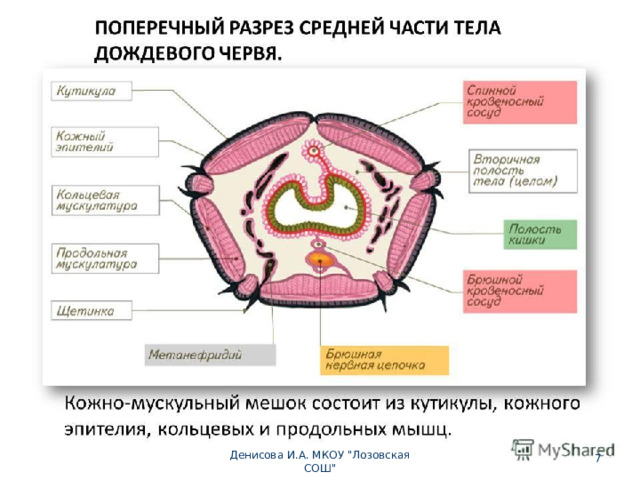  Денисова И.А. МКОУ 