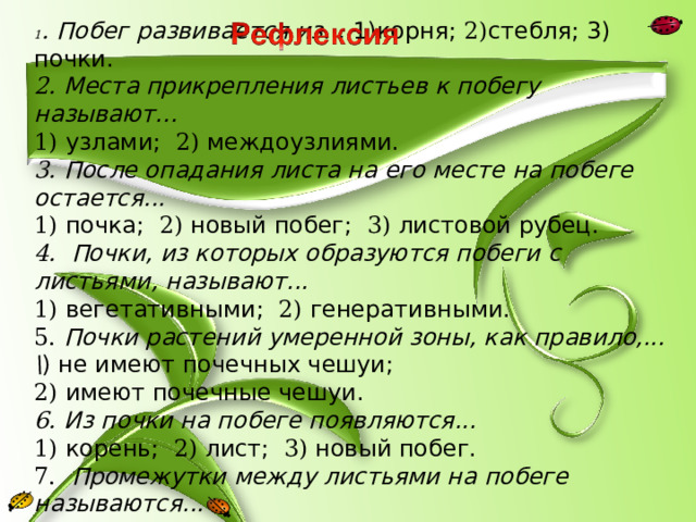 1 . Побег развивается из... 1)корня; 2) стебля; 3) почки. 2. Места прикрепления листьев к побегу называют... 1) узлами; 2) междоузлиями. 3. После опадания листа на его месте на побеге остается... 1) почка; 2) новый побег; 3) листовой рубец. 4. Почки, из которых образуются побеги с листьями, называ­ют... 1) вегетативными; 2) генеративными. 5. Почки растений умеренной зоны, как правило,... \ ) не имеют почечных чешуи; 2) имеют почечные чешуи. 6. Из почки на побеге появляются... 1) корень; 2) лист; 3) новый побег. 7. Промежутки между листьями на побеге называются... 1) узлами; 2) междоузлиями. 