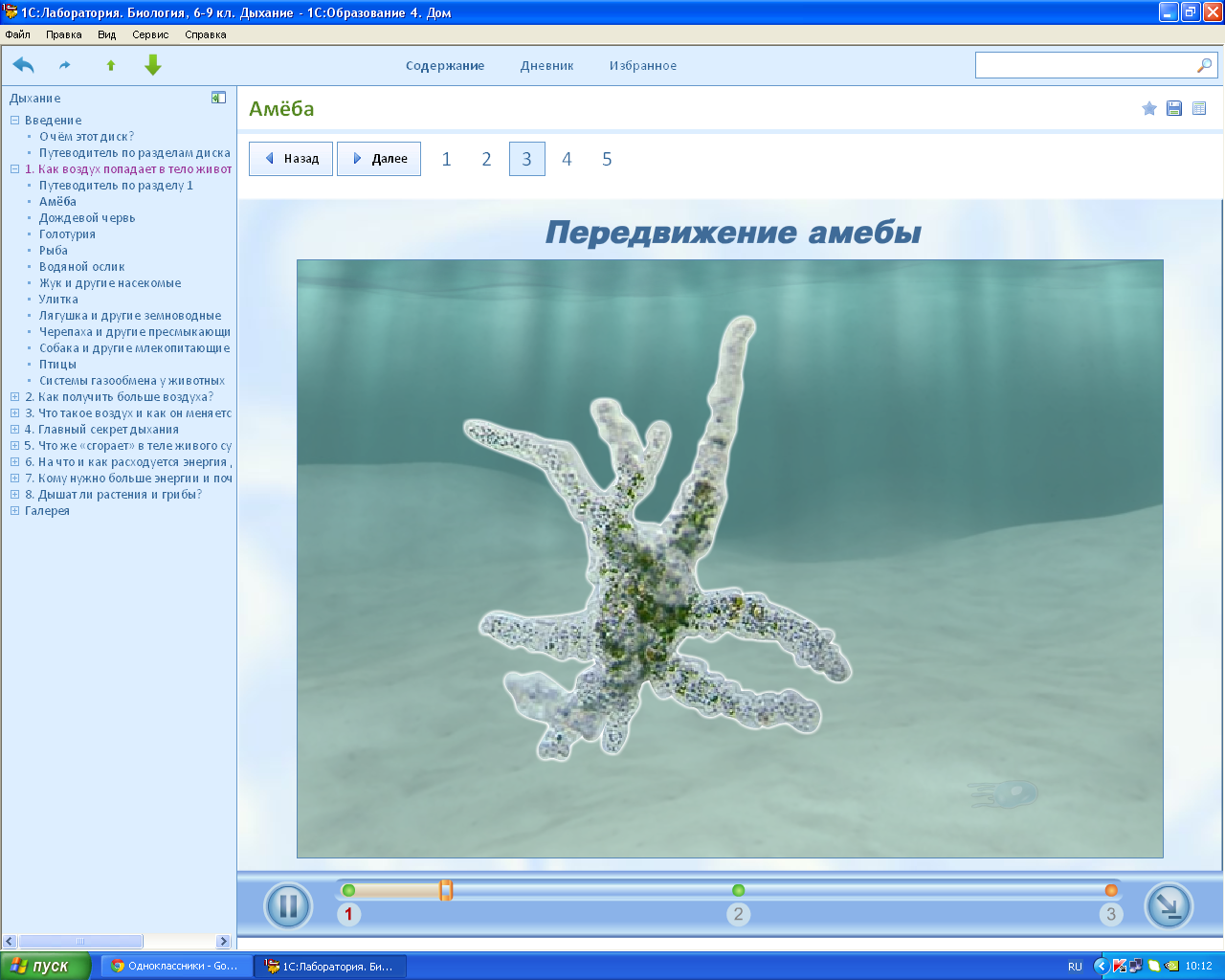 Передвижение амебы. Передвижение амебы обыкновенной. Движение амебы обыкновенной. Амеба передвигается. Выделение амебы.