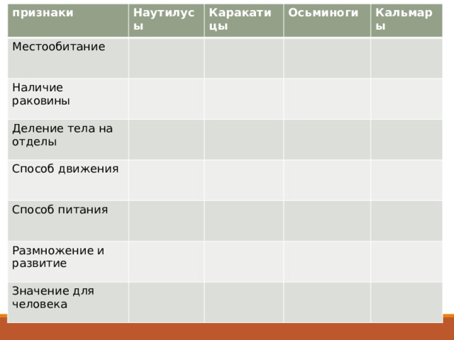 признаки Наутилусы Местообитание Каракатицы Наличие раковины Осьминоги Деление тела на отделы Кальмары Способ движения Способ питания Размножение и развитие Значение для человека  