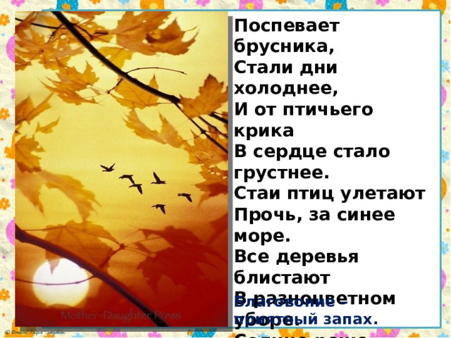 Все деревья блистают в разноцветном уборе. Птиц улетают прочь за синее. Птиц улетают прочь за синее море отгадка. Птиц улетают прочь за синее море. Стаи птиц улетают прочь за синее море.