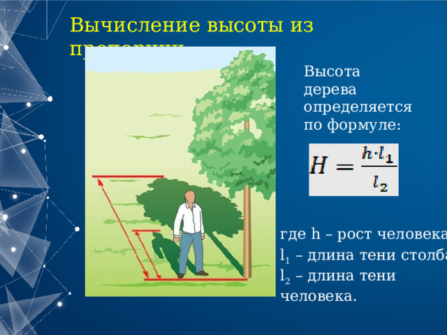 Вычисление высоты из пропорции Высота дерева определяется по формуле: где h – рост человека; l 1 – длина тени столба; l 2 – длина тени человека. 