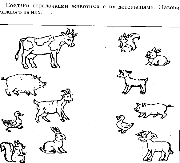 Животные для детей картинки задания