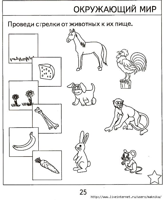 Задание по животным 4 класс. Задания по ознакомлению с окружающим для детей 5 6 лет. Окружающий мир для дошкольников. Задания по окружающему миру для дошкольников. Заданияя по окружающему мит.