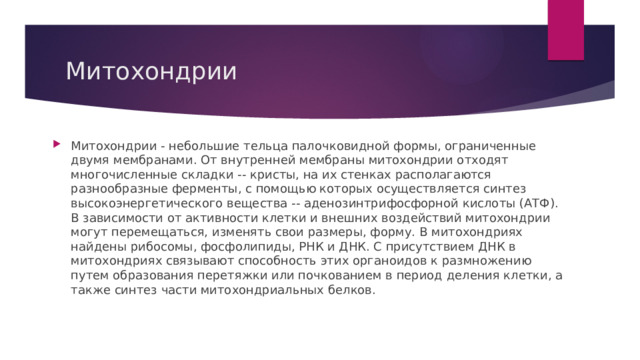 Митохондрии Митохондрии - небольшие тельца палочковидной формы, ограниченные двумя мембранами. От внутренней мембраны митохондрии отходят многочисленные складки -- кристы, на их стенках располагаются разнообразные ферменты, с помощью которых осуществляется синтез высокоэнергетического вещества -- аденозинтрифосфорной кислоты (АТФ). В зависимости от активности клетки и внешних воздействий митохондрии могут перемещаться, изменять свои размеры, форму. В митохондриях найдены рибосомы, фосфолипиды, РНК и ДНК. С присутствием ДНК в митохондриях связывают способность этих органоидов к размножению путем образования перетяжки или почкованием в период деления клетки, а также синтез части митохондриальных белков. 