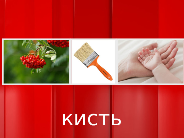 кисть 