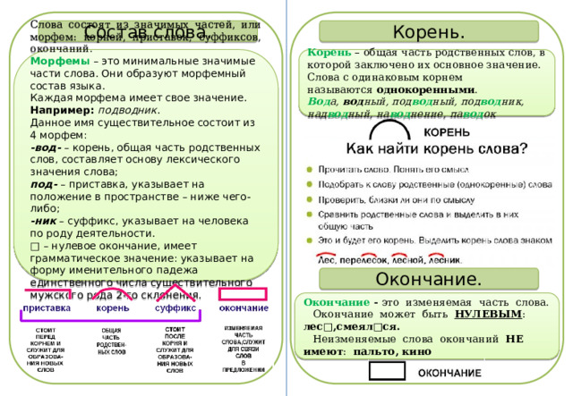 Назван корень слова. Картошка корень слова и однокоренные слова.