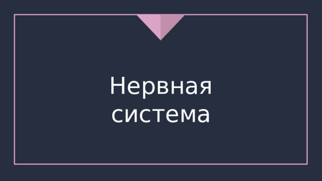 Нервная система 
