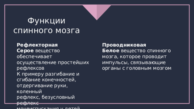 Функции спинного мозга Рефлекторная Проводниковая Серое вещество обеспечивает Белое вещество спинного осуществление простейших мозга, которое проводит рефлексов импульсы, связывающие К примеру разгибание и органы с головным мозгом сгибание конечностей, отдергивание руки, коленный рефлекс, безусловный рефлекс мочеиспускания у детей 