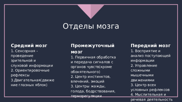 Отделы мозга Средний мозг Промежуточный мозг Передний мозг 1. Сенсорная - проведение зрительной и слуховой информации 1. Первичная обработка и передача сигналов с 1. Восприятие и анализ поступающей информации 2. Ориентировочные рефлексы органов чувств(кроме обонятельного) 2. Управление сложными мышечными движениями 3.Двигательная(движение глазных яблок) 2. Центр инстинктов, влечений, эмоций 3. Центр всех условных рефлексов 3. Центры жажды, голода, бодрствования, 4. Мыслительная и речевая деятельность терморегуляции 