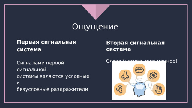Ощущение Первая сигнальная система Сигналами первой сигнальной системы являются условные и безусловные раздражители Вторая сигнальная система  Слово (устное, письменное) 