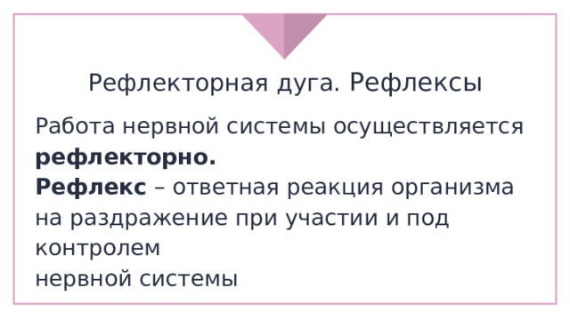 Рефлекторная дуга. Рефлексы Работа нервной системы осуществляется рефлекторно. Рефлекс – ответная реакция организма на раздражение при участии и под контролем нервной системы 