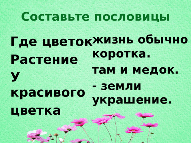 Цветок там и медок