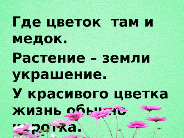 Где цветок там и медок