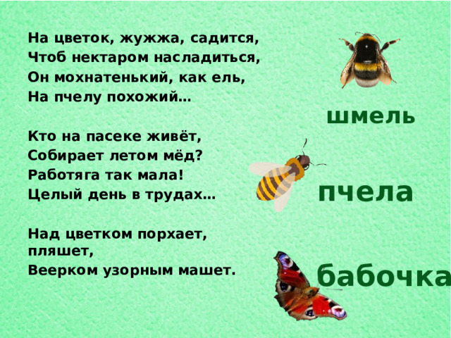 Порхают шмели