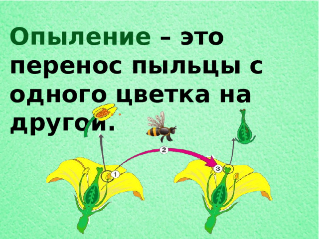 Где цветок там