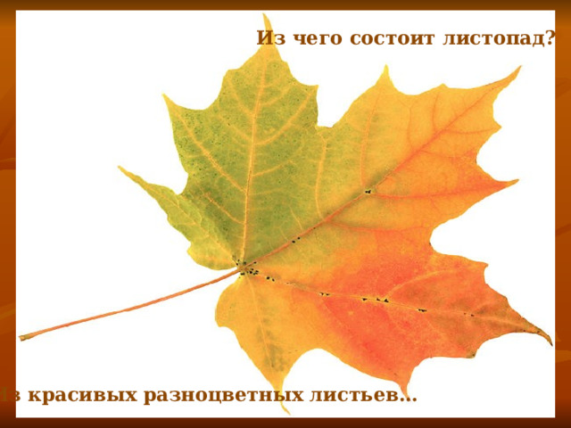 Из чего состоит листопад? Фото листа клена. Из красивых разноцветных листьев…  