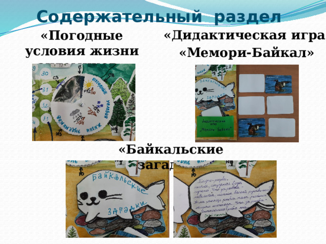 Содержательный раздел «Дидактическая игра «Мемори-Байкал» «Погодные условия жизни эндемиков» «Байкальские загадки» 