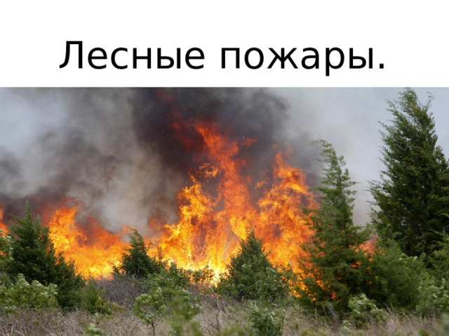 Перечень подверженных угрозе лесных пожаров. Пожар для презентации. Что может быть за пожар леса.