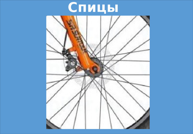 Спицы 