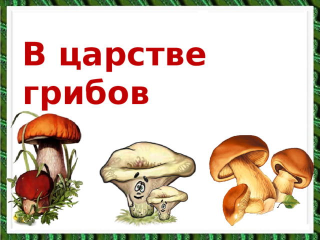 В царстве грибов  