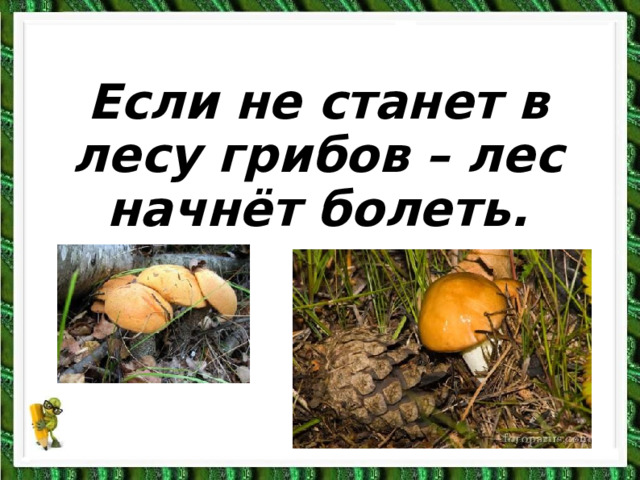 Если не станет в лесу грибов – лес начнёт болеть.  