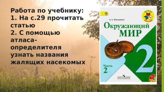 Работа по учебнику:  1. На с.29 прочитать статью  2. С помощью атласа-определителя узнать названия жалящих насекомых 