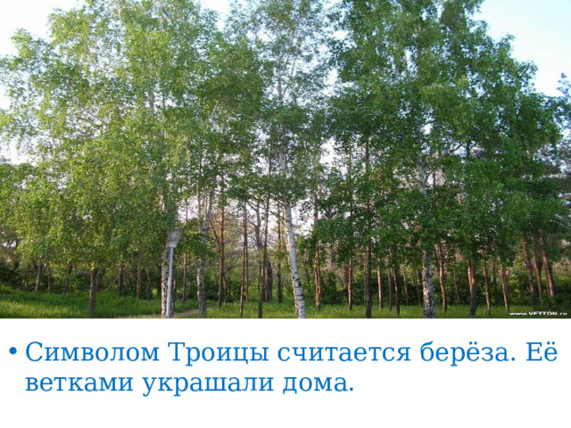 Символом Троицы считается берёза. Её ветками украшали дома. 