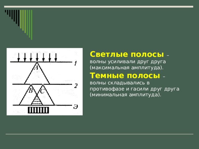 Светлые полосы – волны усиливали друг друга  (максимальная амплитуда).  Темные полосы – волны складывались в противофазе и гасили друг друга (минимальная амплитуда). 