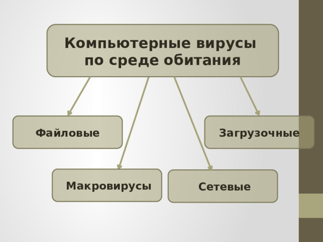 Компьютерные вирусы по среде обитания Загрузочные Файловые  Макровирусы  Сетевые 