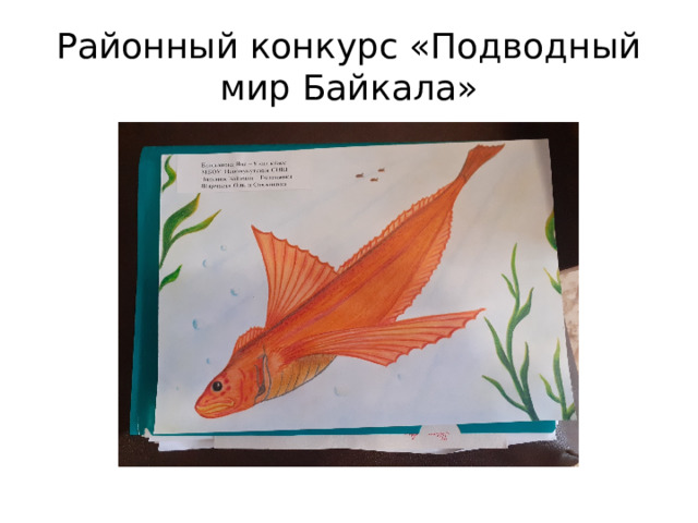 Районный конкурс «Подводный мир Байкала» 