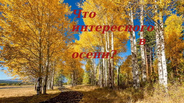 Что интересного  в осени? 